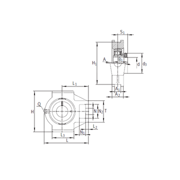 PTUE45 INA Bearing Units