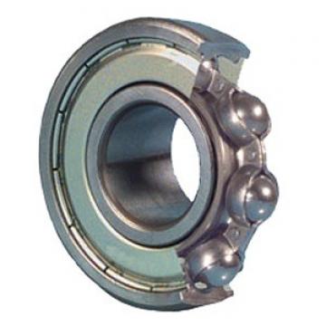 Single Row Ball Bearings 6005 2ZJEM