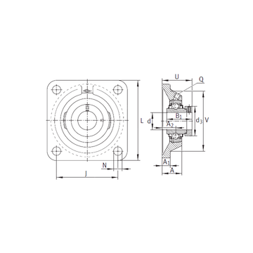 RCJ100 INA Bearing Units