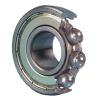 Single Row Ball Bearings 6205 ZJEM