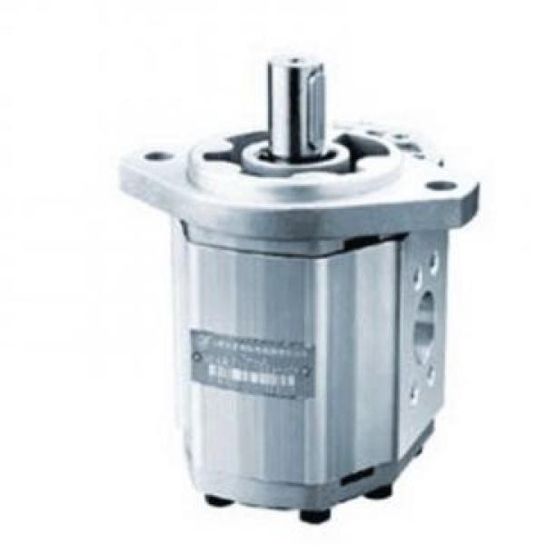 CBW-F310-CFP Hydraulic CBW Series Gear Pump #1 image