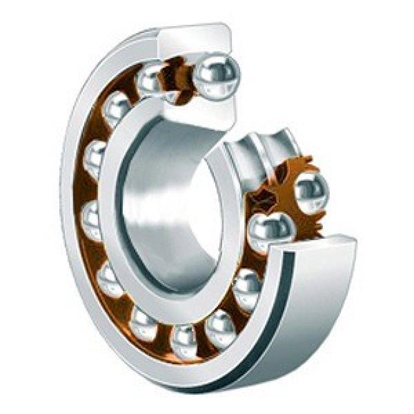 Self Aligning Ball Bearings 1313 EKTN9 #1 image