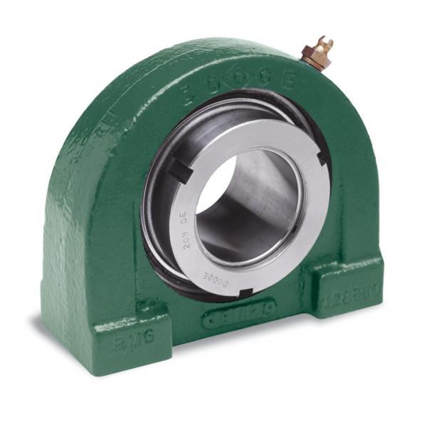 Mounted Ball Bearings TB-DL-100-NL #1 image